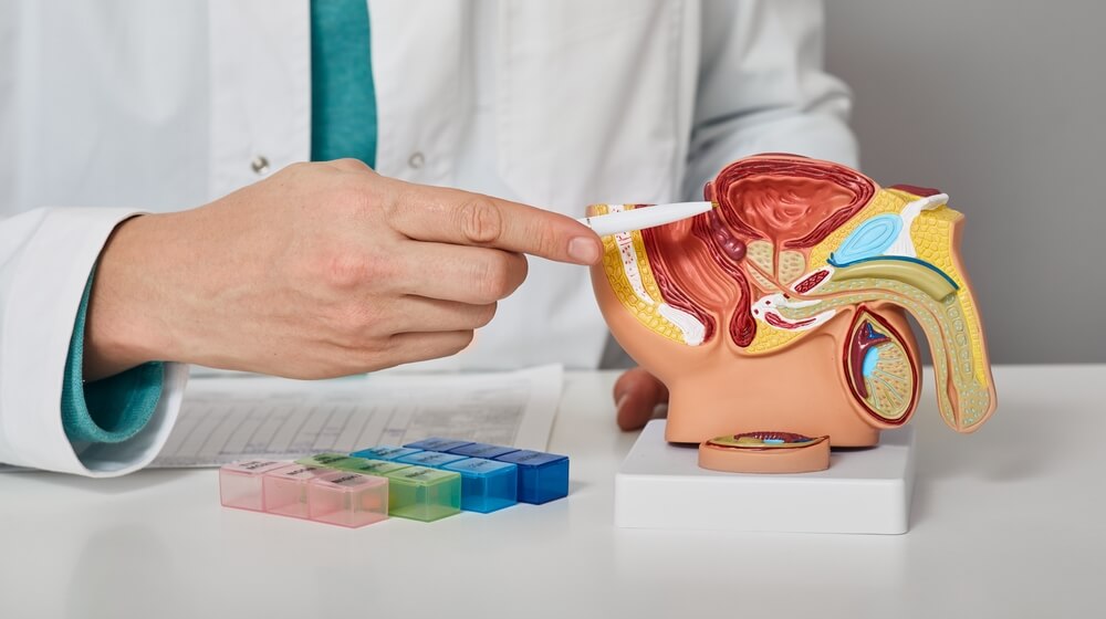 Pregled prostate