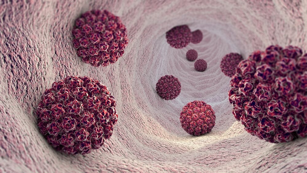 Humani Papiloma virus
